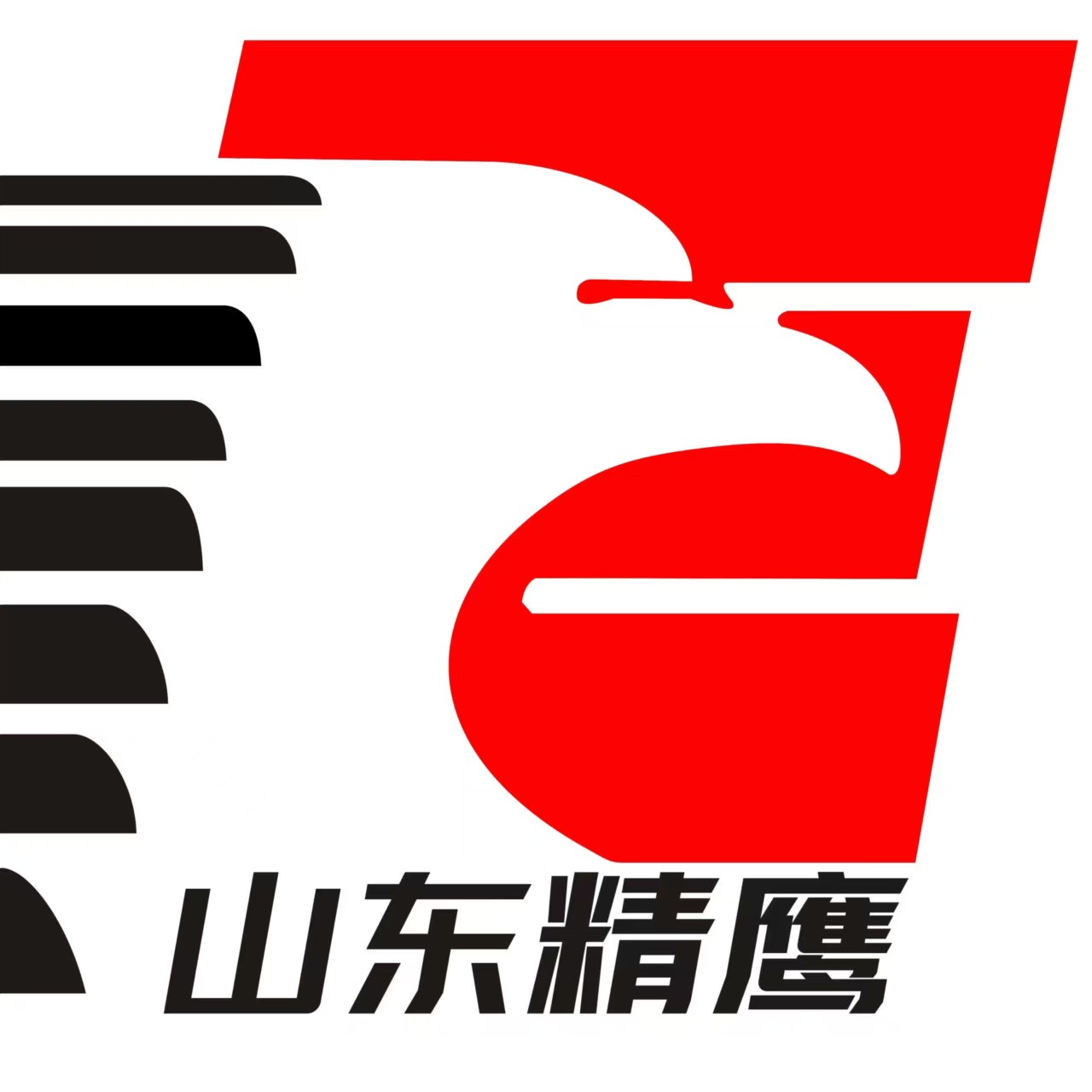 山东精鹰